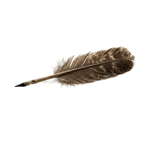 A feather quill resting across the parchment.